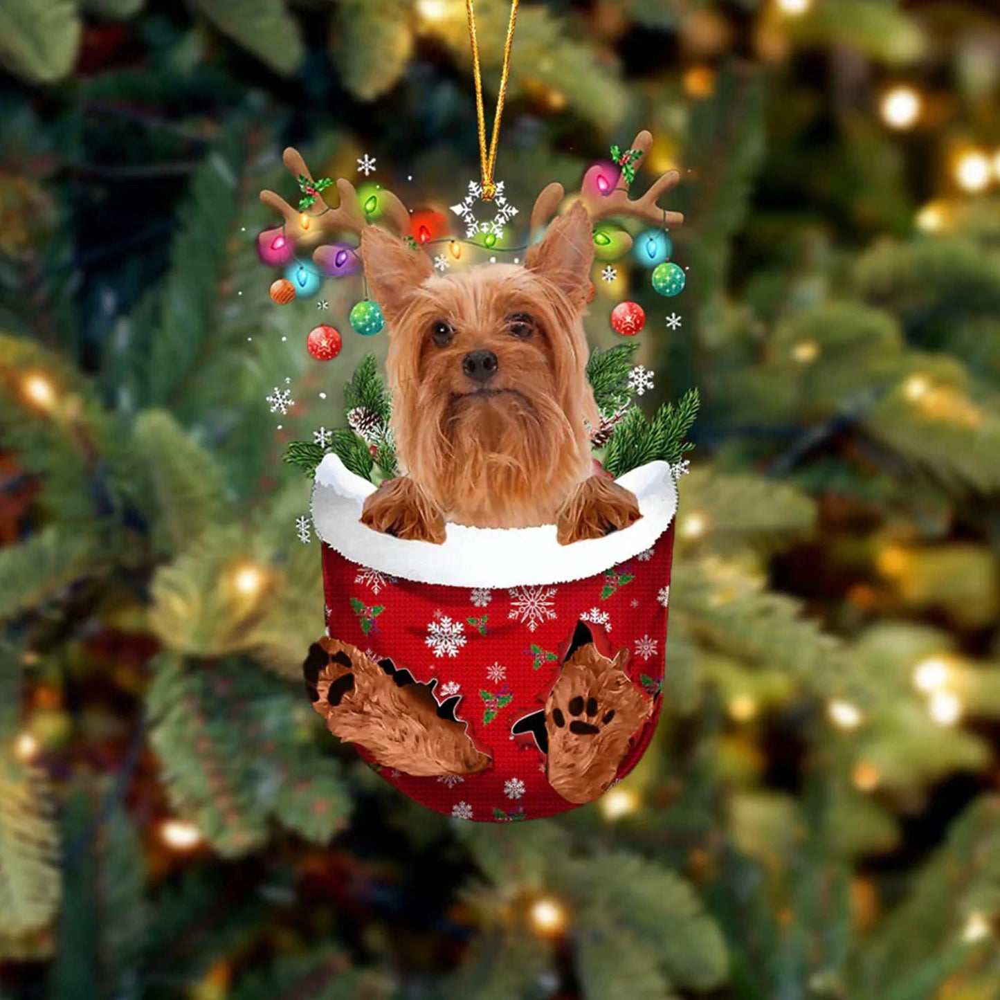 Canipaws ™ Canine Ornaments Hanging Cute Dog Decor