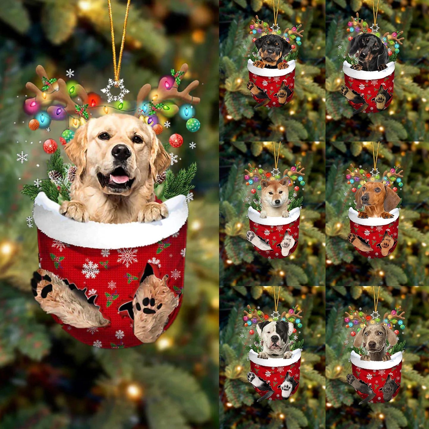 Canipaws ™ Canine Ornaments Hanging Cute Dog Decor